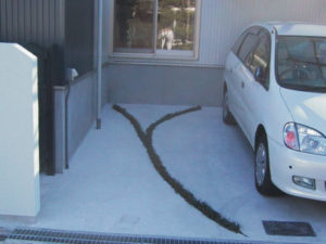 駐車スペースの横に竜のヒゲを植えました。