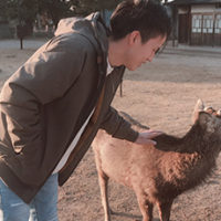 【大工の日常】日向ハウス社員のゆるゆるな時間　小窪くん　奈良公園で鹿とプリン